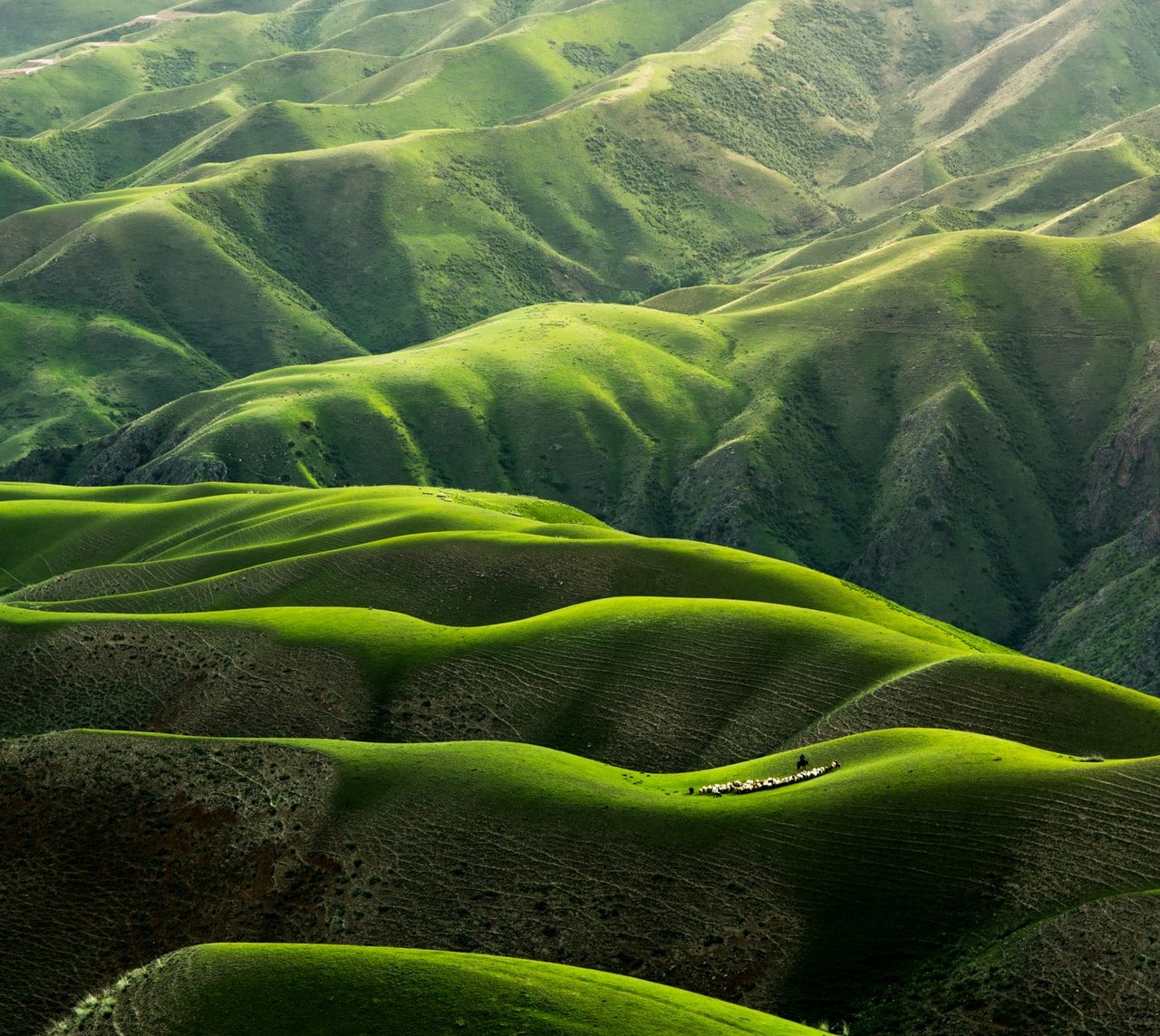 Qingbao Meng 01 Igfr7hd4 Unsplash