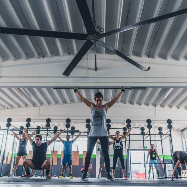 ventilador-hvls-optimvent